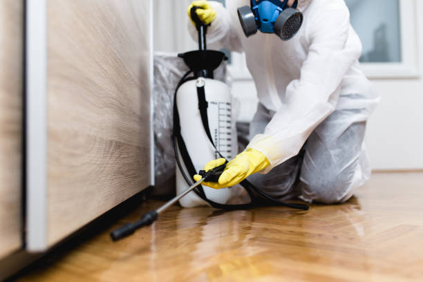 Best Insect Control  in Galls, IN