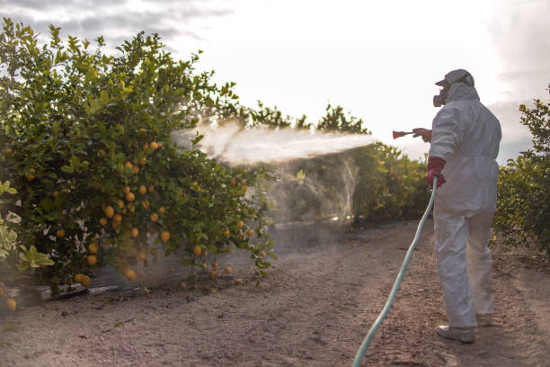 Pest Control Cost in Ingalls, IN