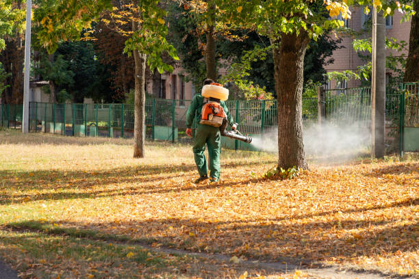 Best Best Pest Control Companies  in Galls, IN