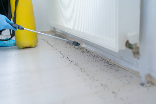 Best Rat Extermination Near Me  in Galls, IN