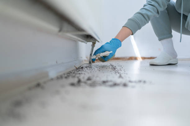 Best Local Pest Control Services  in Galls, IN